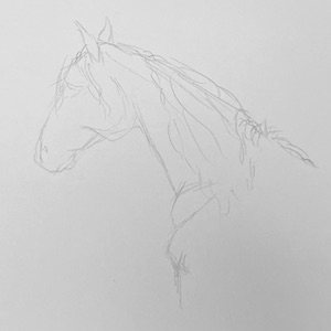 a half finished pencil sketch of a horse head which unintentionally looks like a contour sketch