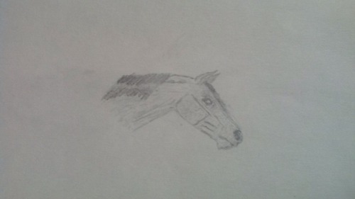 a pencil portrait of a horse, trying to achieve realism