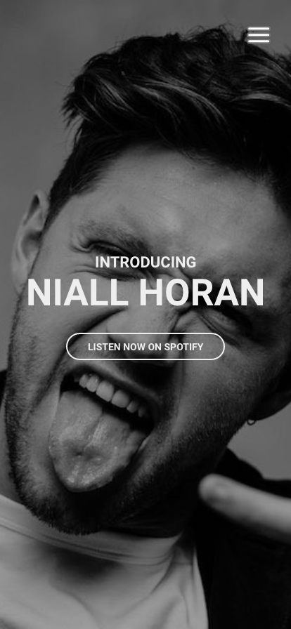 link to class project site about niall horan